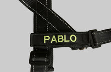 Load image into Gallery viewer, Velcro patch for harness