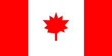 Load image into Gallery viewer, Custom Flag Name Patch – Embroidered Velcro Patch